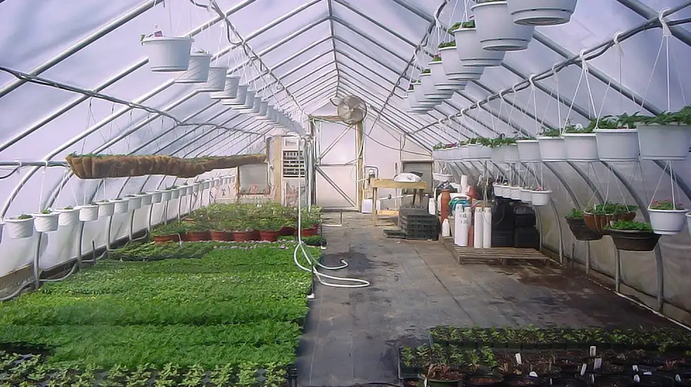 The Benefits of High Tunnel Greenhouses for Commercial Growing