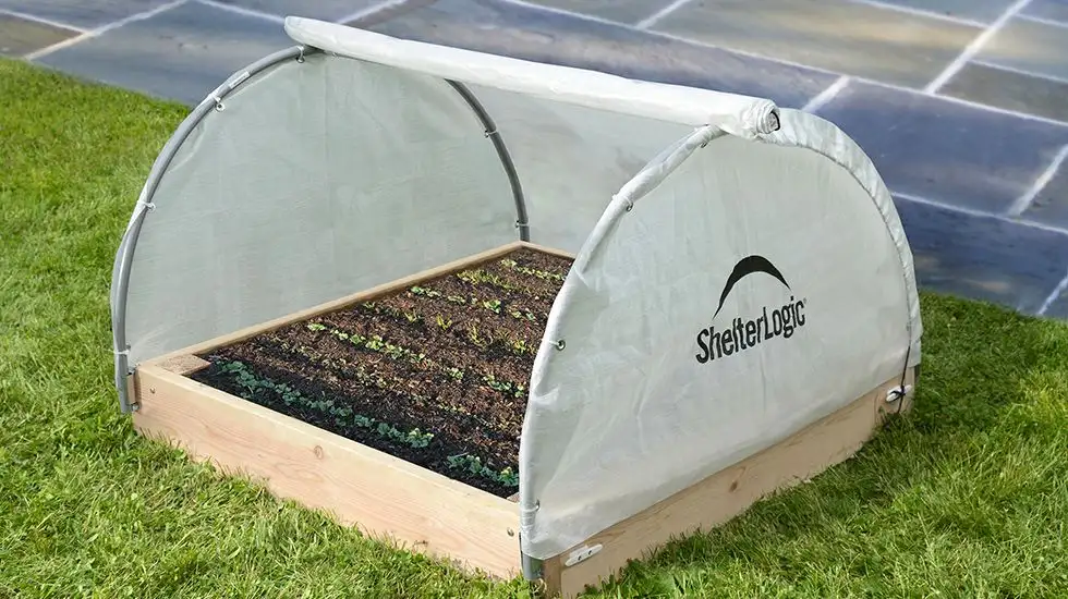 Grower's Guide: Planting in a Raised Bed Greenhouse