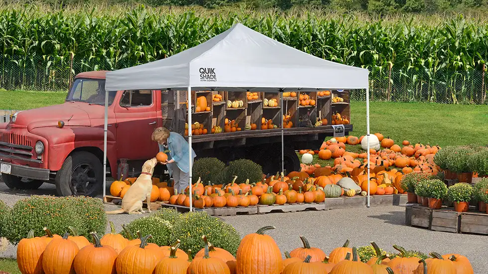 Pop-Ups, Canopies, and More for Fall Festivals